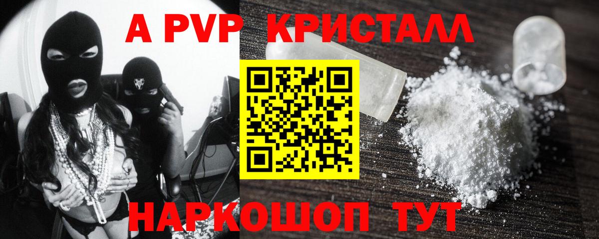 A PVP СК Волгоград