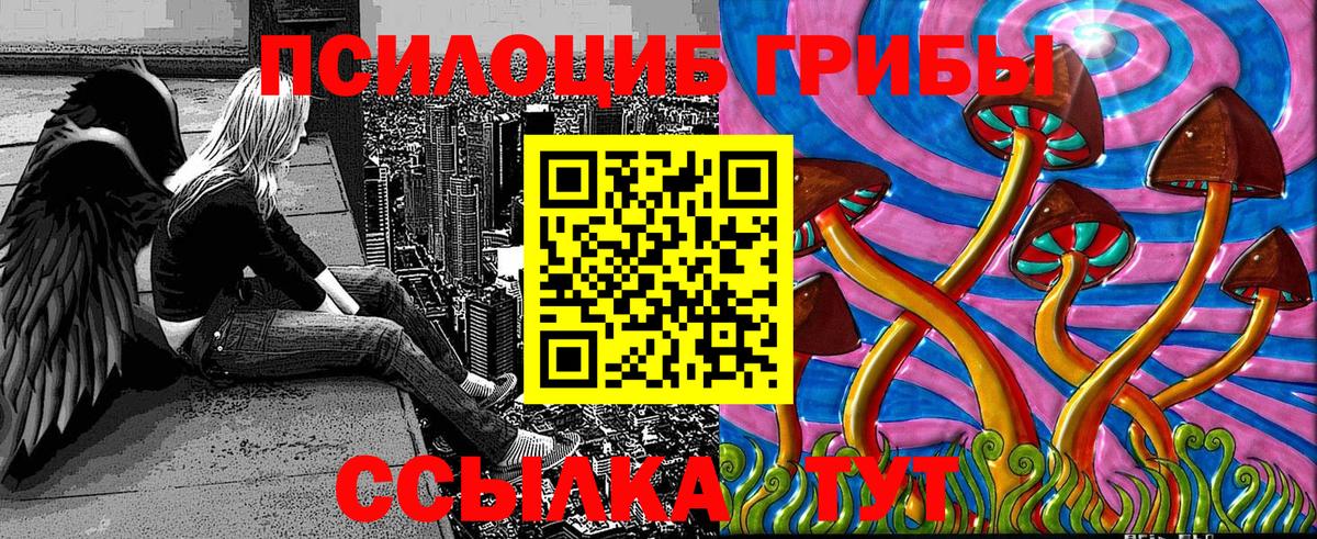 Псилоцибиновые грибы Cubensis  Вход с VPN  Псилоцибиновые грибы Psilocybine cubensis  Волгоград 