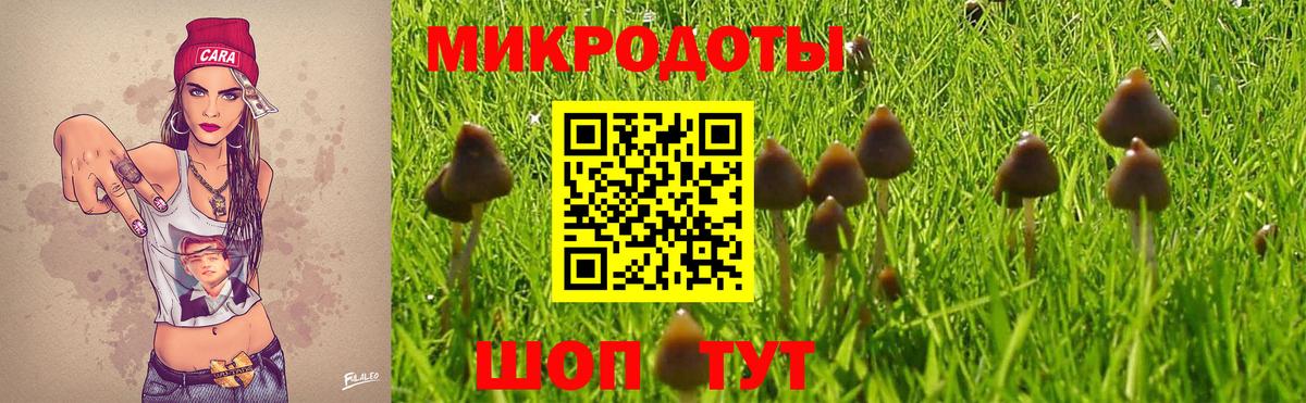 Галлюциногенные грибы прущие грибы Волгоград
